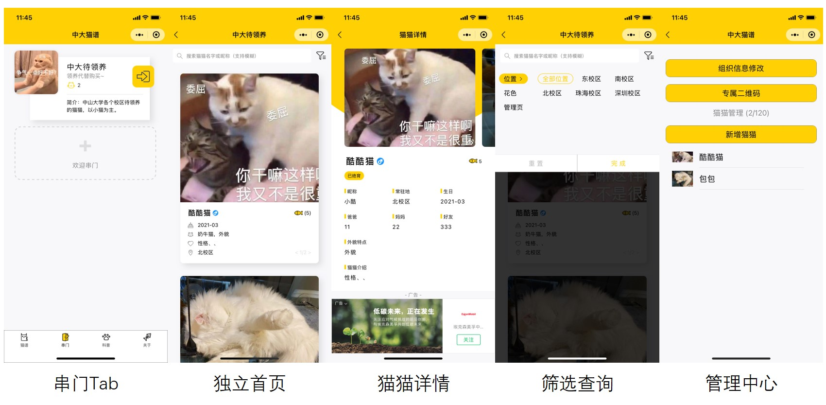 图片[1]-校园流浪猫信息记录和分享的小程序源码-久久源码城