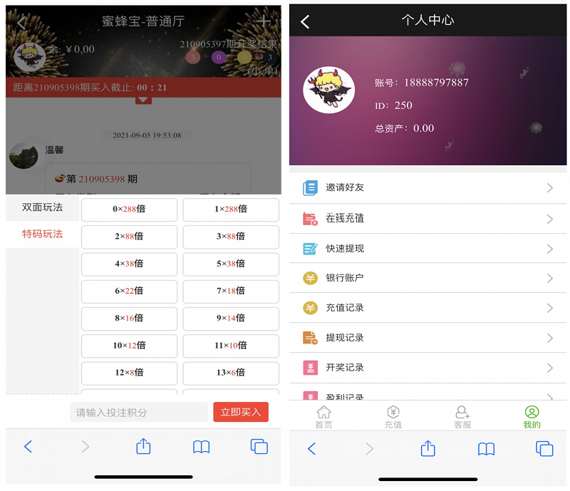 图片[3]-全新修复版蜜蜂宝理财源码,幸运28理财-源码交易网